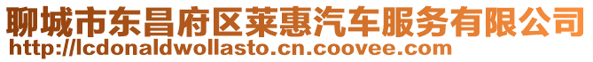 聊城市東昌府區萊惠汽車服務有限公司