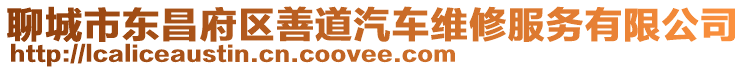 聊城市東昌府區善道汽車維修服務有限公司