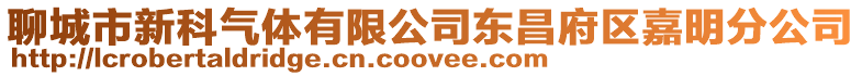 聊城市新科氣體有限公司東昌府區(qū)嘉明分公司