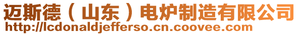 邁斯德(山東)電爐制造有限公司