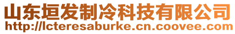 山東垣發(fā)制冷科技有限公司