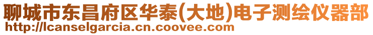 聊城市東昌府區華泰(大地)電子測繪儀器部