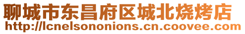 聊城市東昌府區(qū)城北燒烤店