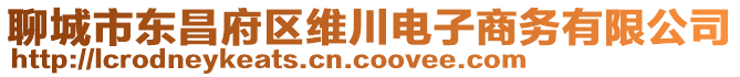 聊城市東昌府區(qū)維川電子商務(wù)有限公司