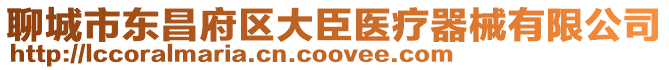 聊城市東昌府區大臣醫療器械有限公司