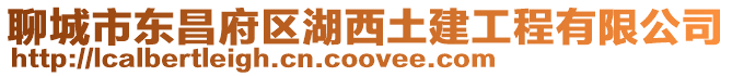 聊城市東昌府區湖西土建工程有限公司