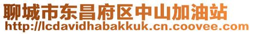 聊城市東昌府區(qū)中山加油站