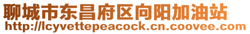 聊城市東昌府區(qū)向陽加油站