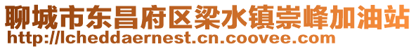 聊城市東昌府區梁水鎮崇峰加油站