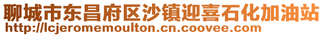 聊城市東昌府區沙鎮迎喜石化加油站