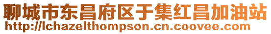 聊城市東昌府區于集紅昌加油站