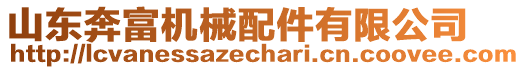 山東奔富機(jī)械配件有限公司