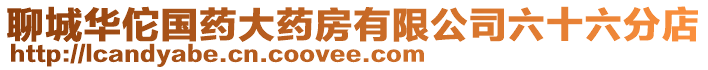 聊城華佗國藥大藥房有限公司六十六分店