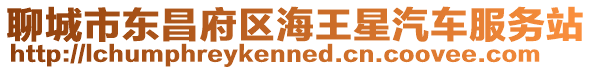 聊城市東昌府區(qū)海王星汽車服務(wù)站