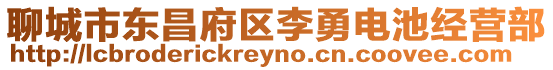 聊城市東昌府區李勇電池經營部