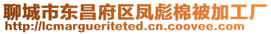 聊城市東昌府區鳳彪棉被加工廠