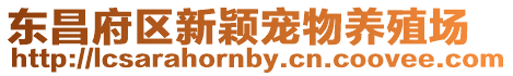 東昌府區(qū)新穎寵物養(yǎng)殖場