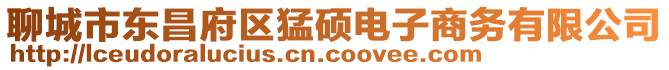 聊城市東昌府區猛碩電子商務有限公司