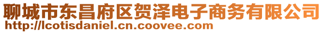 聊城市東昌府區賀澤電子商務有限公司