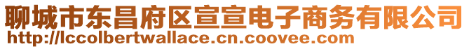 聊城市東昌府區宣宣電子商務有限公司