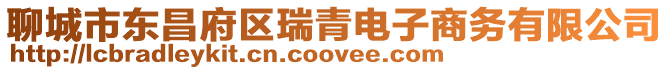 聊城市東昌府區(qū)瑞青電子商務有限公司
