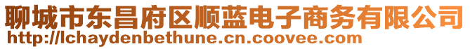 聊城市東昌府區順藍電子商務有限公司
