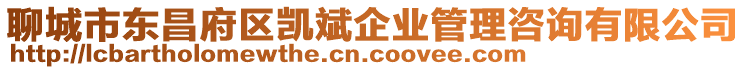 聊城市東昌府區(qū)凱斌企業(yè)管理咨詢(xún)有限公司
