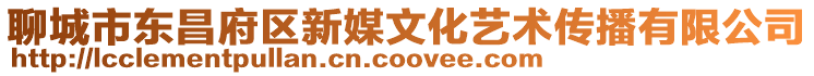 聊城市東昌府區新媒文化藝術傳播有限公司