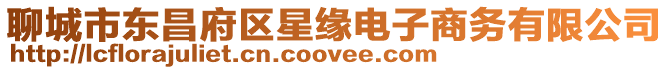 聊城市東昌府區星緣電子商務有限公司