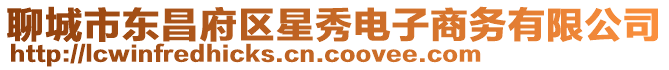 聊城市東昌府區星秀電子商務有限公司