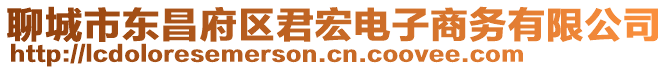 聊城市東昌府區(qū)君宏電子商務(wù)有限公司