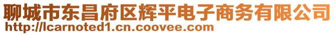 聊城市東昌府區(qū)輝平電子商務(wù)有限公司