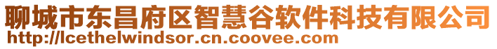 聊城市東昌府區(qū)智慧谷軟件科技有限公司