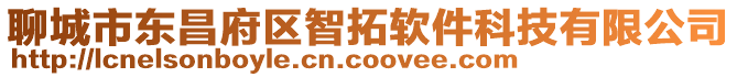 聊城市東昌府區智拓軟件科技有限公司