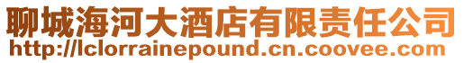 聊城海河大酒店有限責任公司