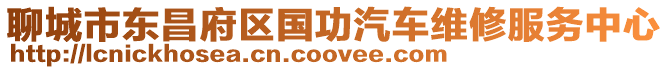 聊城市東昌府區(qū)國功汽車維修服務中心