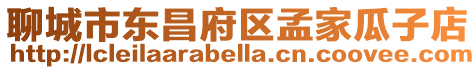 聊城市東昌府區孟家瓜子店