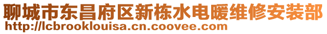 聊城市東昌府區新棟水電暖維修安裝部