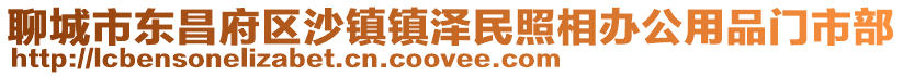 聊城市東昌府區沙鎮鎮澤民照相辦公用品門市部