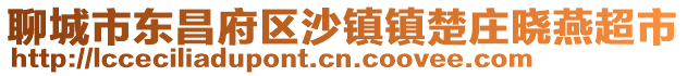 聊城市東昌府區沙鎮鎮楚莊曉燕超市