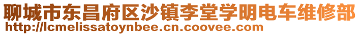 聊城市東昌府區沙鎮李堂學明電車維修部