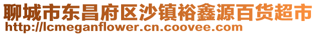 聊城市東昌府區沙鎮裕鑫源百貨超市
