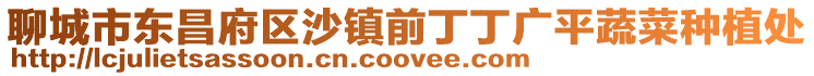聊城市東昌府區(qū)沙鎮(zhèn)前丁丁廣平蔬菜種植處