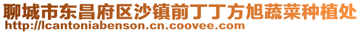 聊城市東昌府區沙鎮前丁丁方旭蔬菜種植處