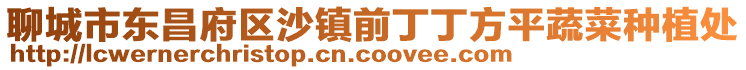 聊城市東昌府區沙鎮前丁丁方平蔬菜種植處