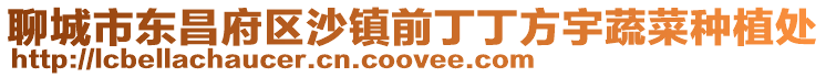 聊城市東昌府區沙鎮前丁丁方宇蔬菜種植處