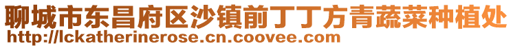 聊城市東昌府區(qū)沙鎮(zhèn)前丁丁方青蔬菜種植處