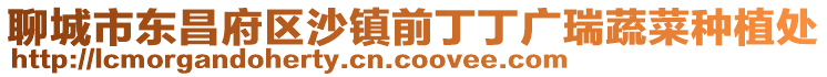 聊城市東昌府區沙鎮前丁丁廣瑞蔬菜種植處
