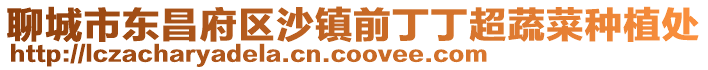 聊城市東昌府區沙鎮前丁丁超蔬菜種植處
