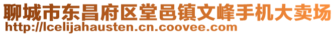 聊城市東昌府區(qū)堂邑鎮(zhèn)文峰手機(jī)大賣場